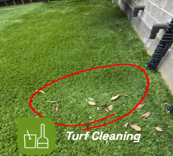 Turf Clean Service & Maintenance